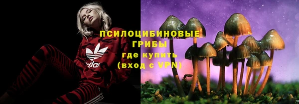 круглые Алзамай