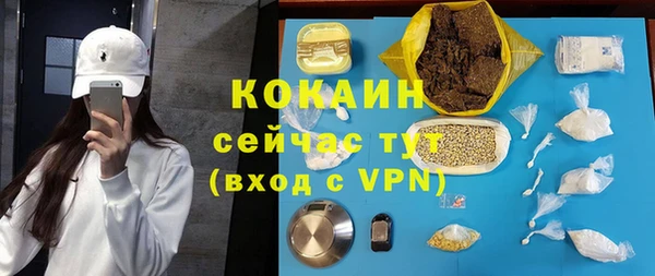 дживик Алексин
