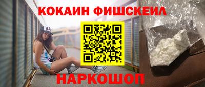 индика Гатчина
