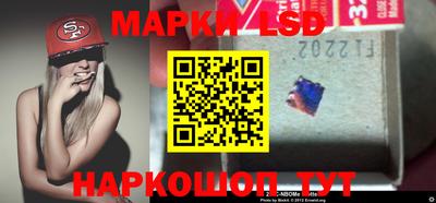 индика Гатчина