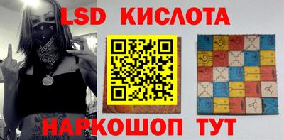 индика Гатчина