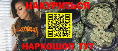 индика Гатчина