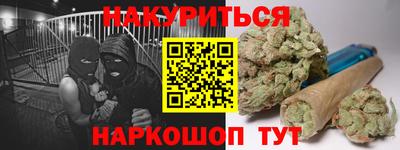 индика Гатчина