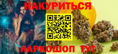 индика Гатчина