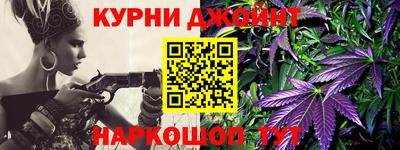 дмт Гай