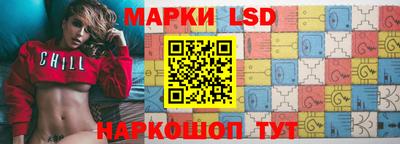 индика Гатчина