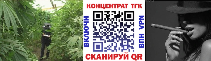 закладка  shop какой сайт  ТГК вейп  Елизово 