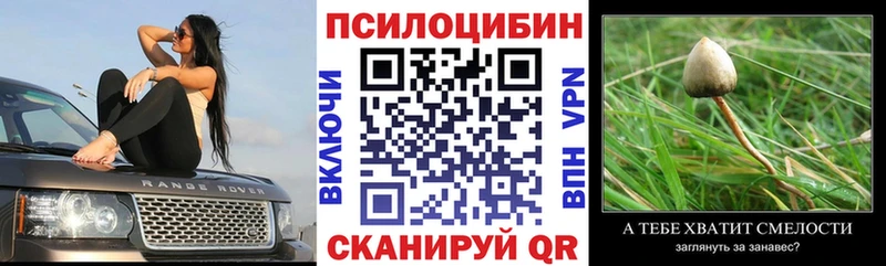 Псилоцибиновые грибы Psilocybe  блэк спрут   Елизово 