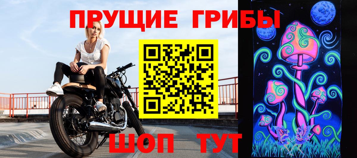 Псилоцибиновые грибы прущие грибы  Вход с VPN  Псилоцибиновые грибы MAGIC MUSHROOMS  Елизово 